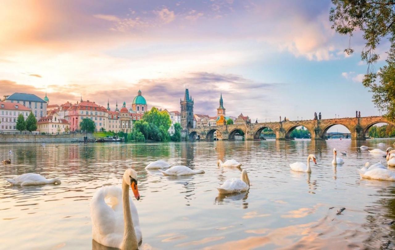 White Swan Boutique Apartments Prag Dış mekan fotoğraf